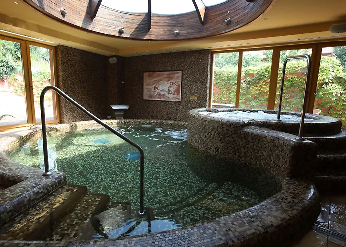 Wellness Laroba Hotel 4*