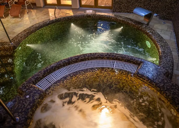 Szálloda Wellness Laroba 4*